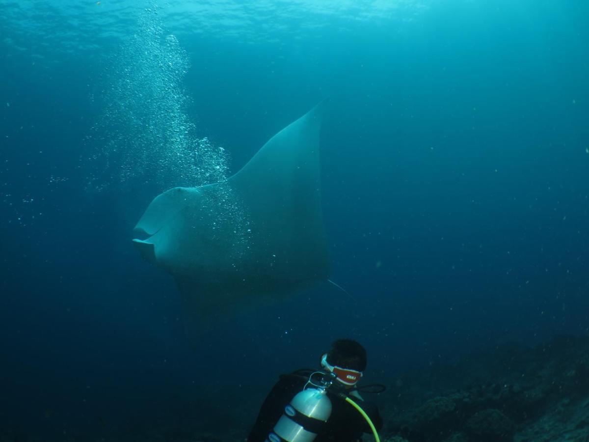 Hamueco Dive Resort Raja Ampat Rabia Exterior photo