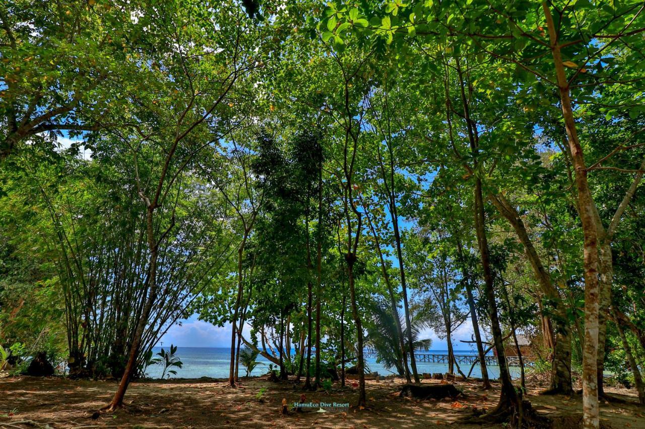 Hamueco Dive Resort Raja Ampat Rabia Exterior photo