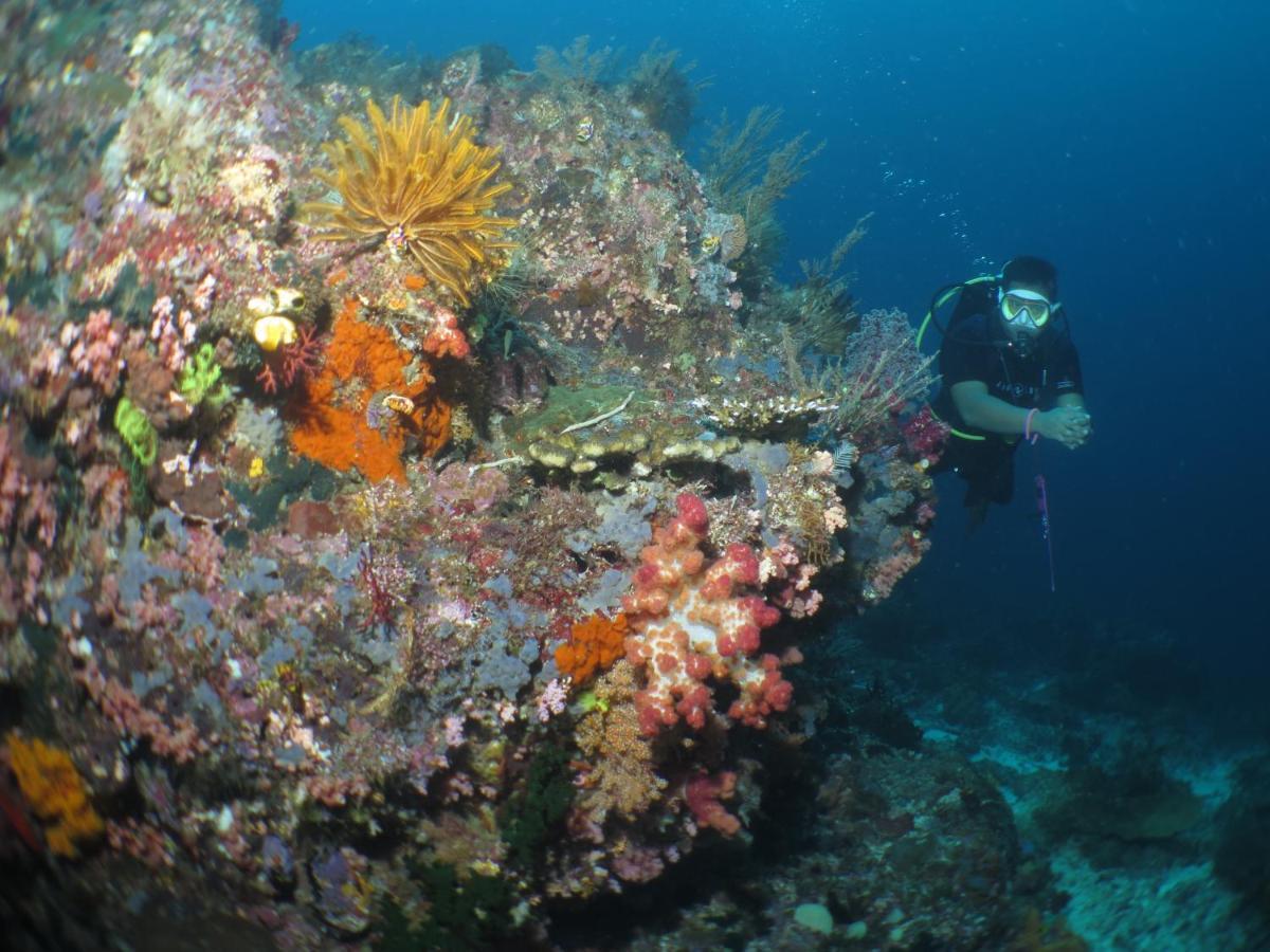 Hamueco Dive Resort Raja Ampat Rabia Exterior photo